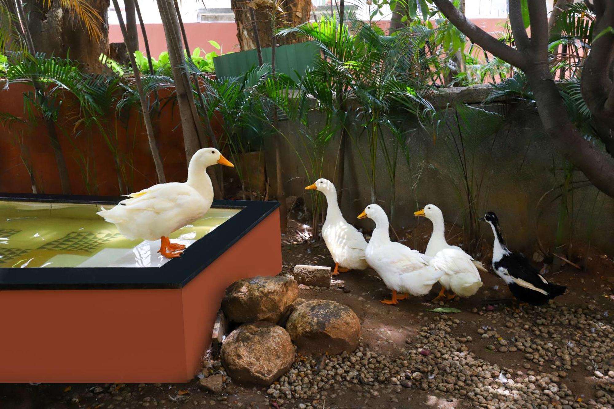 Lemon Tree Suites, Whitefield, Bengaluru Ngoại thất bức ảnh