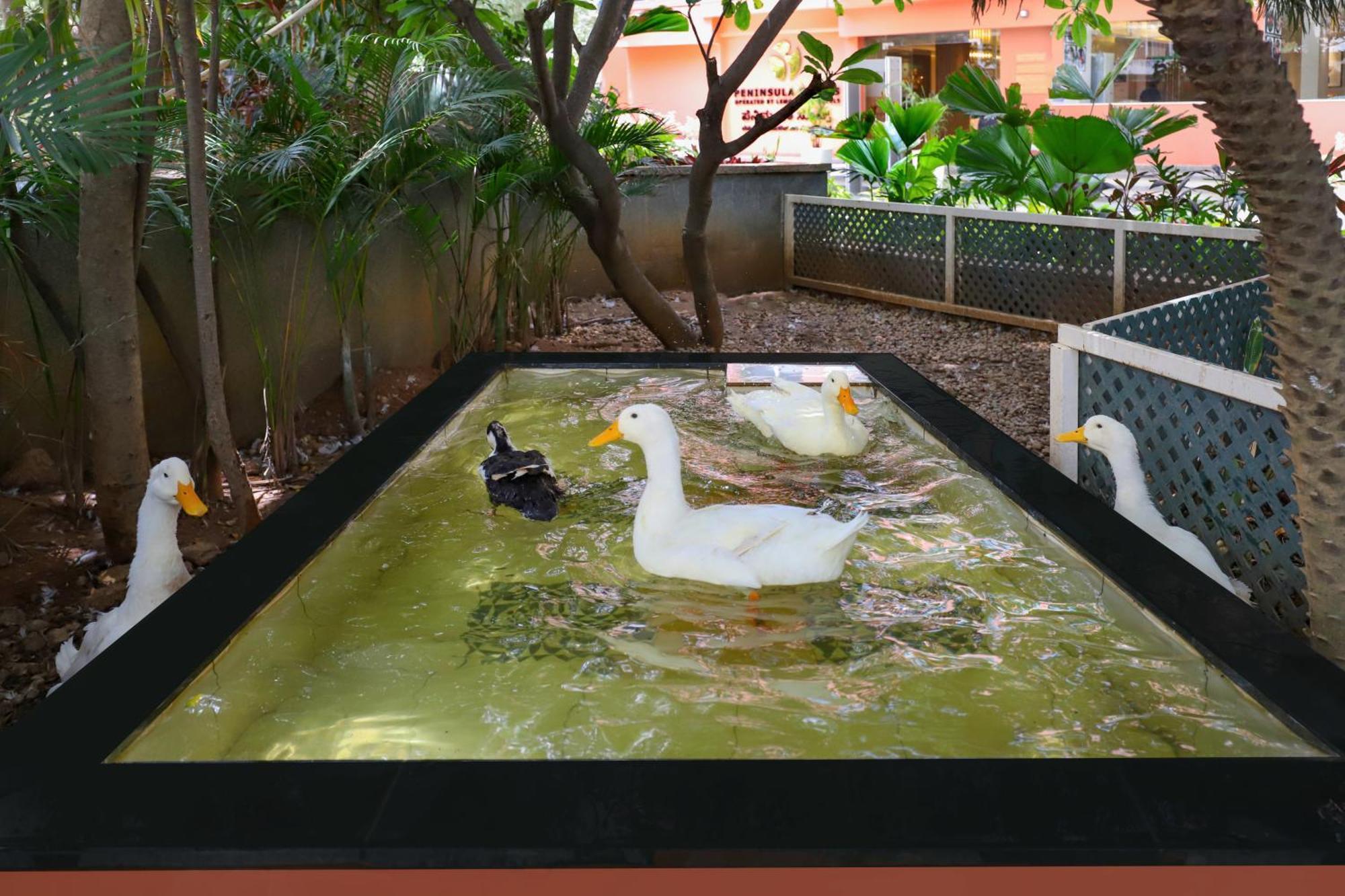 Lemon Tree Suites, Whitefield, Bengaluru Ngoại thất bức ảnh